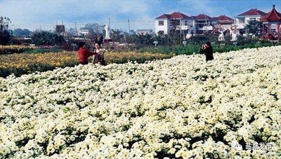 盐城这么美,看景不出门!30个旅游景区,让你国庆