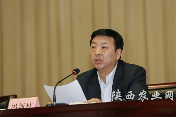 陕西省副省长冯新柱涉嫌严重违纪,接受组织审