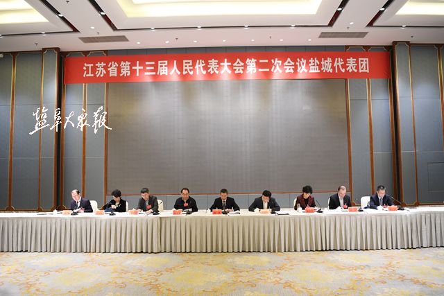 盐城代表团审议省人大常委会和两院工作报告
