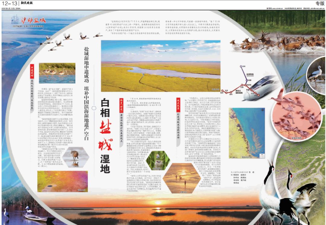 新民通版.jpg