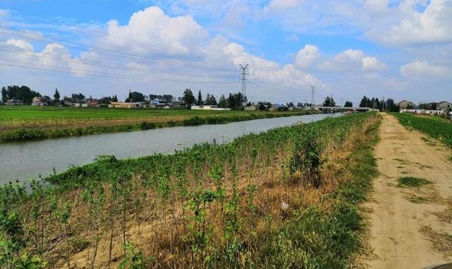 全市建设幸福河湖掠影之农村河道篇 生态治理,让乡村碧水长流岸