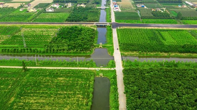 大丰区南阳镇桥口中心河,广丰河