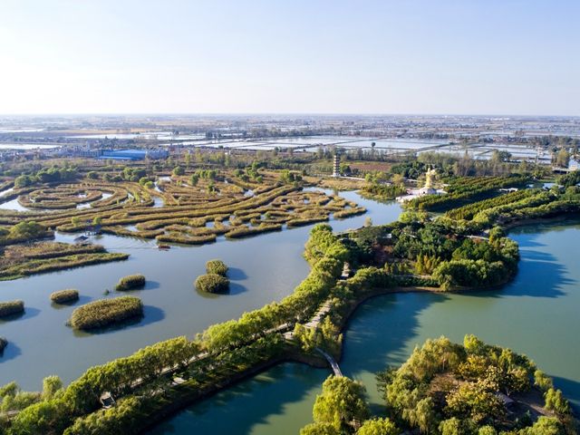 全市建设幸福河湖掠影之湖泊湖荡篇—— 生态修复网格