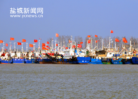 繁忙的一级渔港——黄沙港