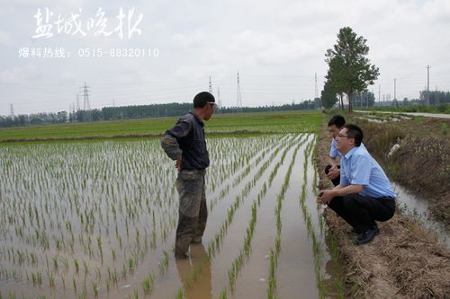 基层法官朱加荣"为守法弱者撑腰"