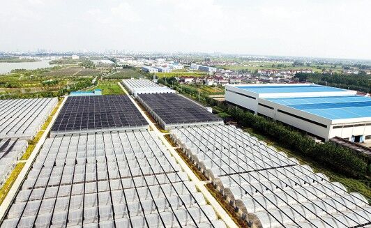 【砥砺奋进的五年】东台:主攻高效设施农业 拓宽产业富民路