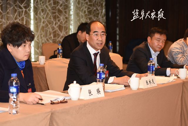 盐城代表团分组审议政府工作报告