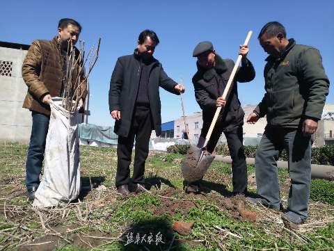 昨天,阜宁两位老人带着30棵五谷树苗去了阜宁这个地方!