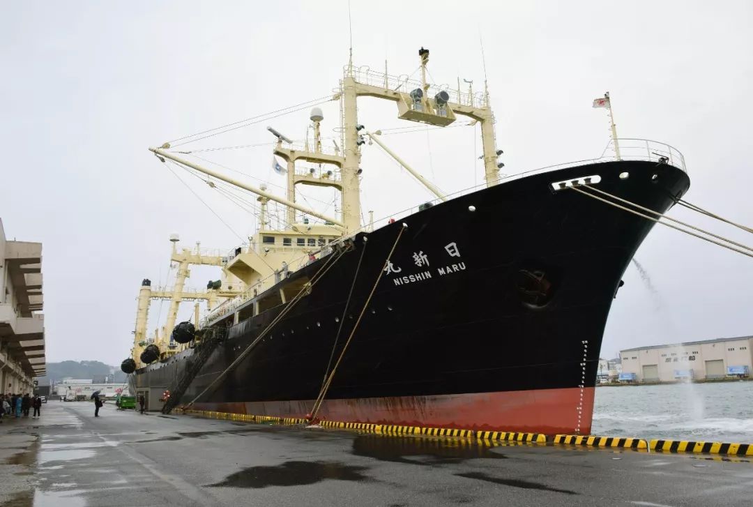 近日,日新丸捕鲸船抵达日本下关港市港口