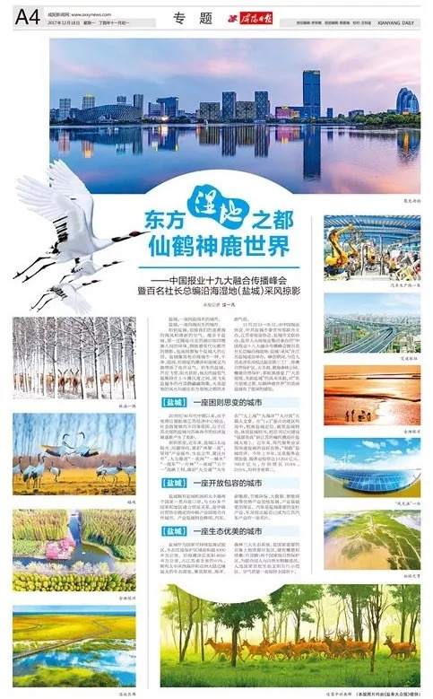 中国报业十九大传播峰会优秀版面揭晓,36家报社获奖