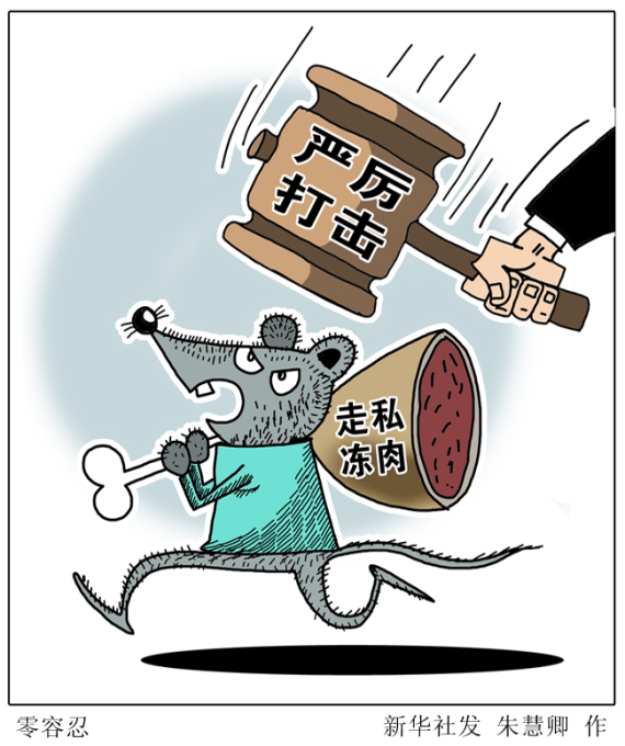 走私零容忍!盐城海关查获走私冻品440吨