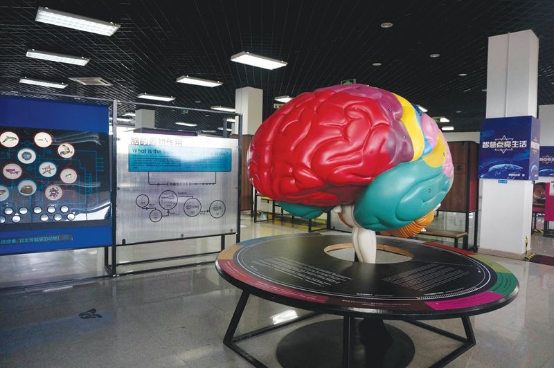 "脑中乾坤:心智的生物学"在盐城市科技馆开展