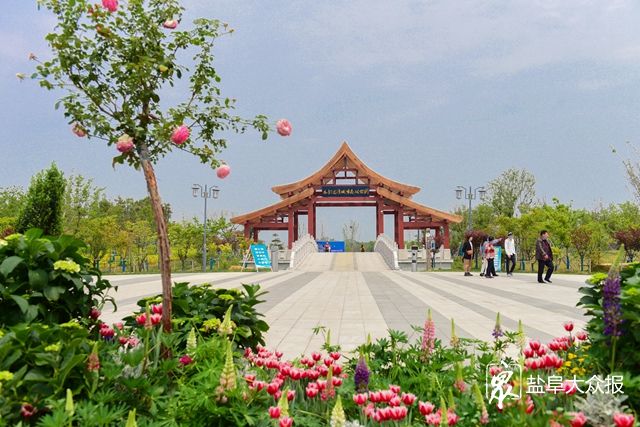 大丰水韵龙湾城市公园.盐阜大众报报业集团全媒体记者 李思远 摄