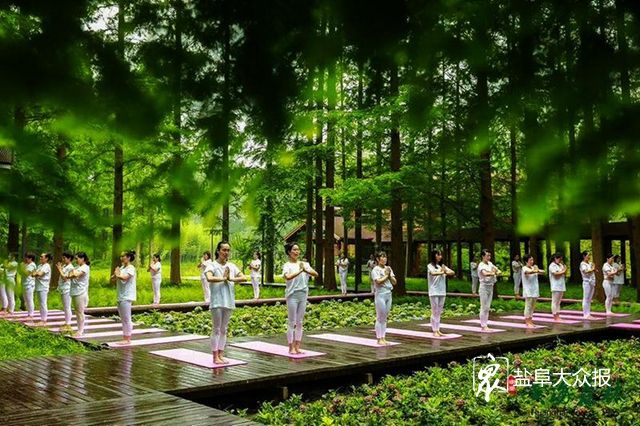 瑜伽 大会,让人感受森林生态环境带来的归真体验.