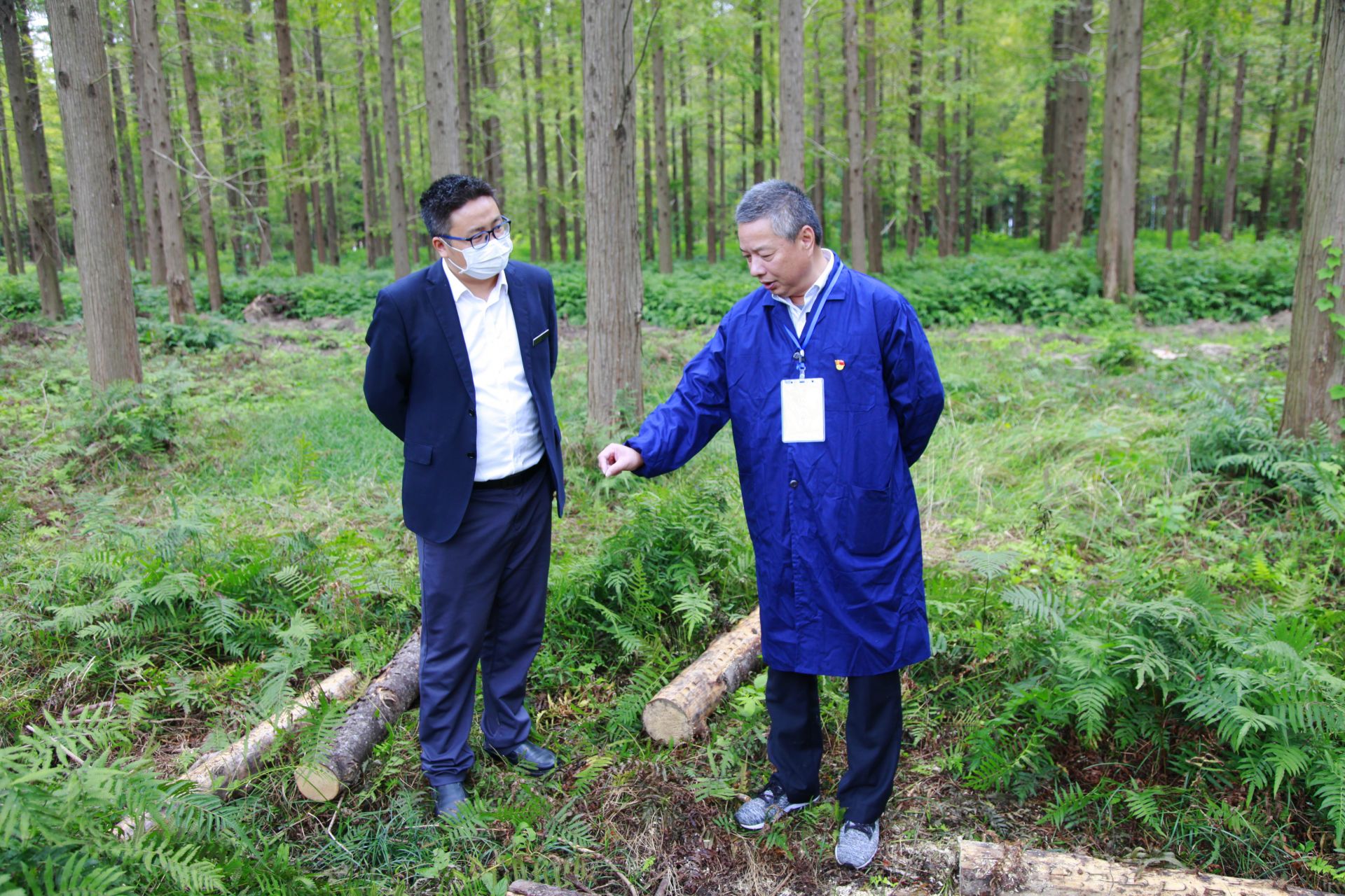 东台市住建局 完成黄海国家森林公园林木蚁情蚁害普查