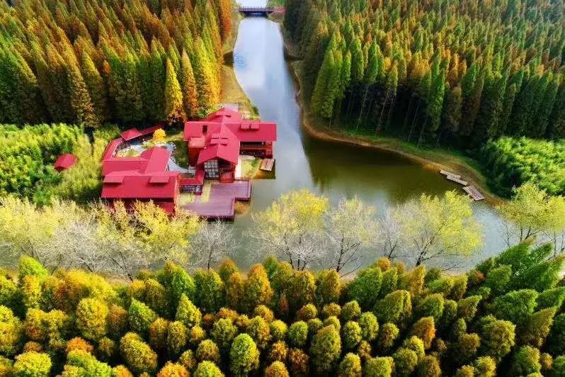 FC2VIDEO 平台发布全新内容审核新规，强化违规视频管控力度，引发用户广泛关注与讨论，多项调整细节正式公开