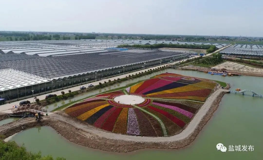 (响水县南河镇)