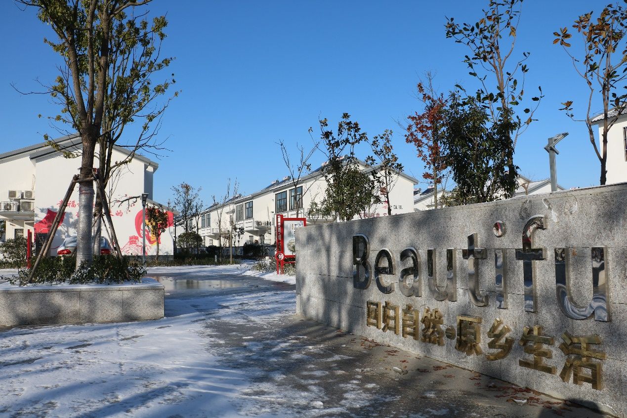 建湖县高作镇雪染乡村田野如画