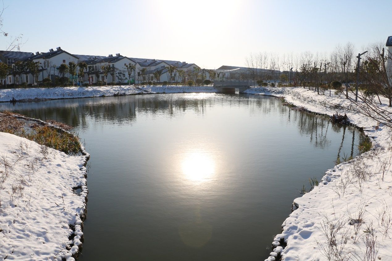 建湖县高作镇雪染乡村田野如画