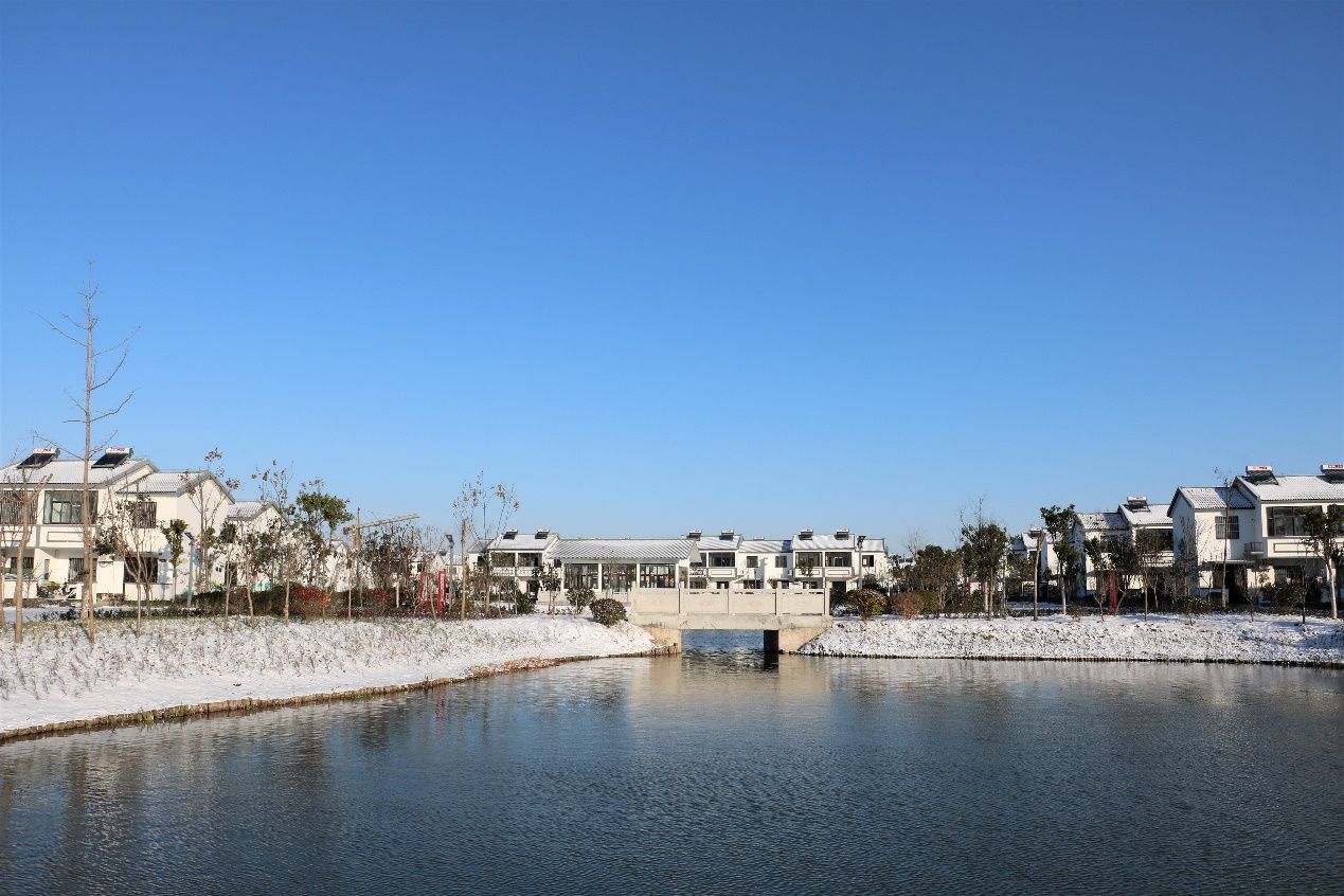 建湖县高作镇雪染乡村田野如画