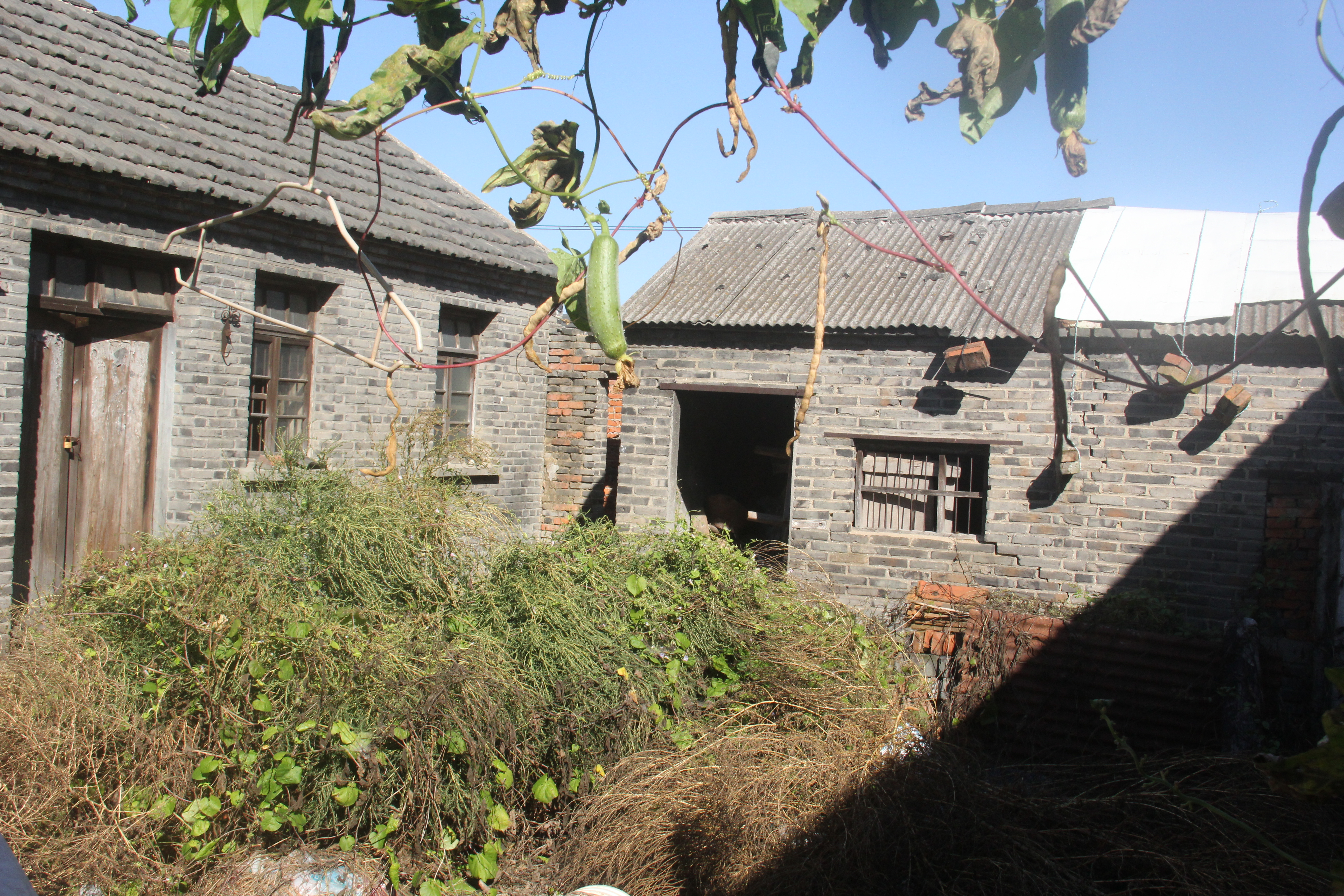 盐都蹚出农村空关房置换新路-盐城新闻网